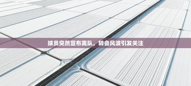 球员突然宣布离队，转会风波引发关注