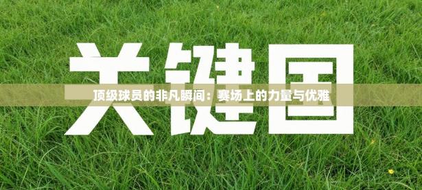 顶级球员的非凡瞬间：赛场上的力量与优雅