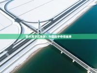 跳水男子三米板：中国选手夺得金牌