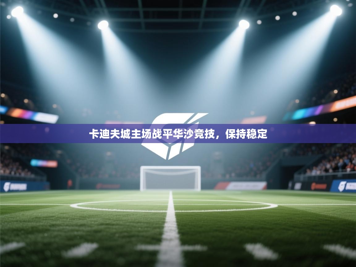 卡迪夫城主场战平华沙竞技，保持稳定  第2张